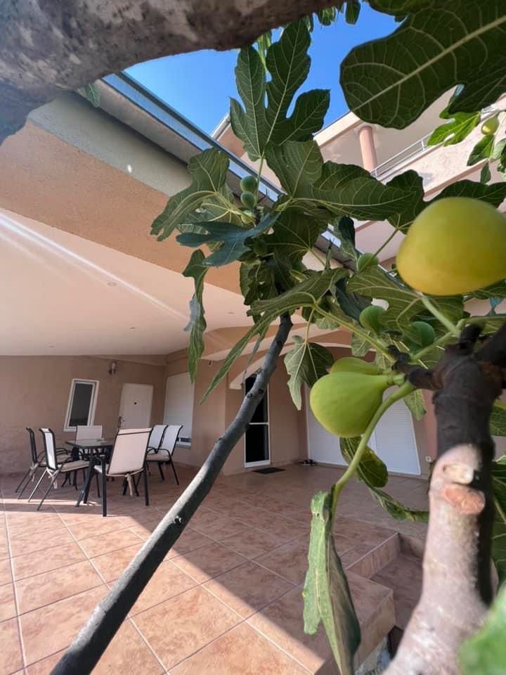 WhatsApp Image 2025-08-23 at 09.11.02