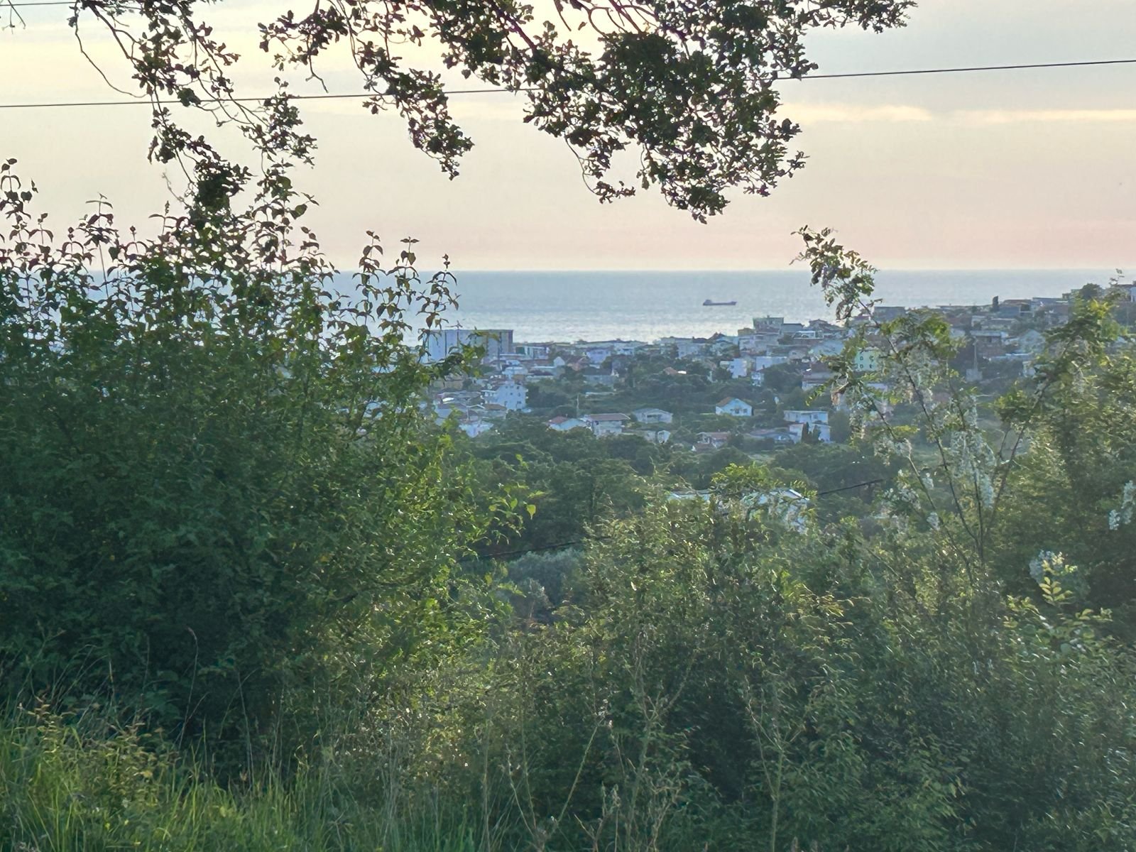 WhatsApp Image 2025-08-23 at 09.28.42 (1)