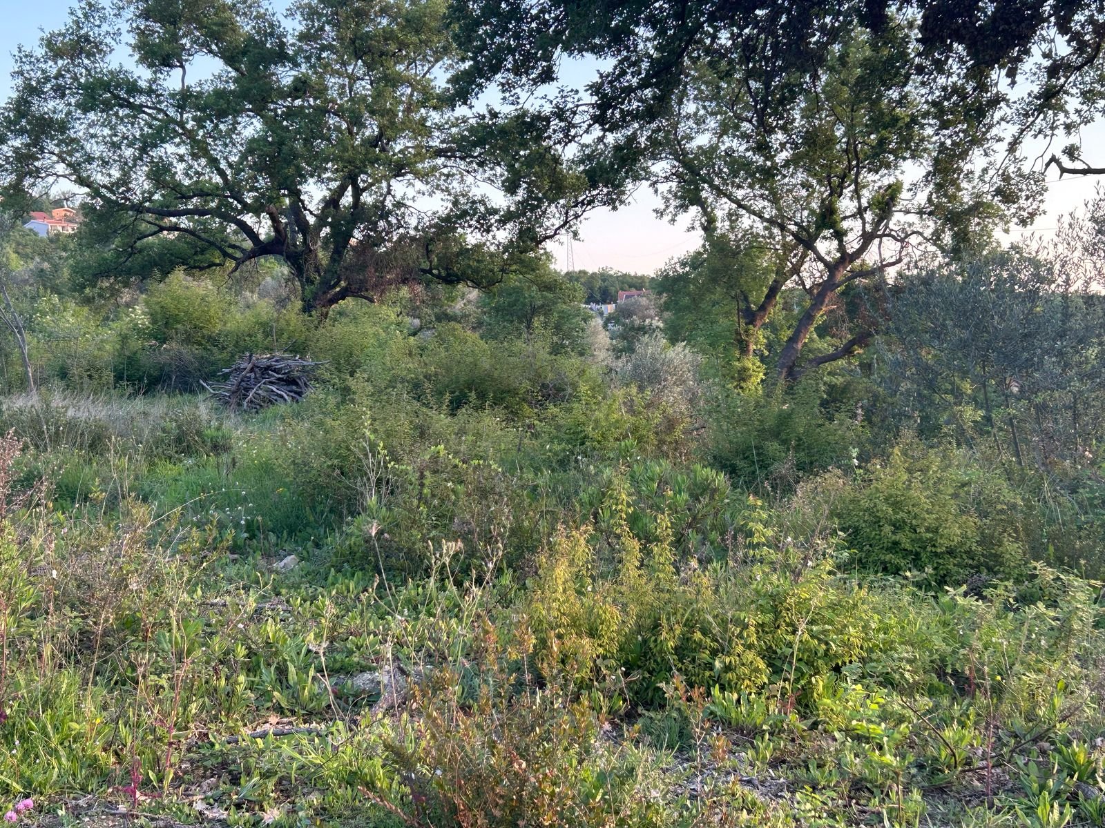 WhatsApp Image 2025-08-23 at 09.28.43 (1)