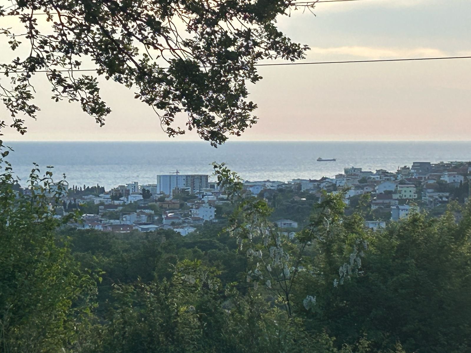 WhatsApp Image 2025-08-23 at 09.28.43 (2)