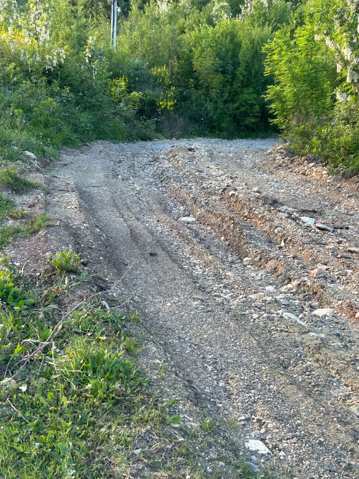 WhatsApp Image 2025-08-23 at 09.28.43 (3)