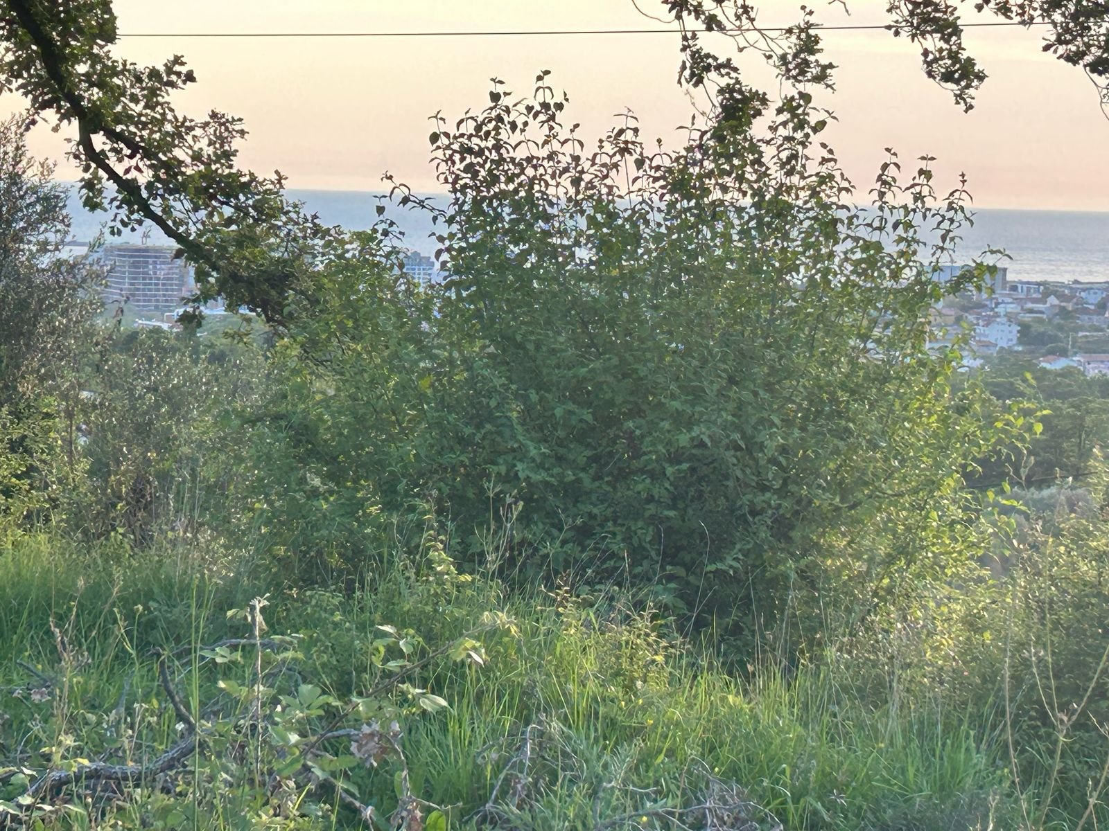 WhatsApp Image 2025-08-23 at 09.28.43