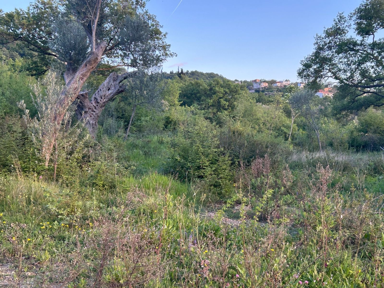 WhatsApp Image 2025-08-23 at 09.28.44 (1)