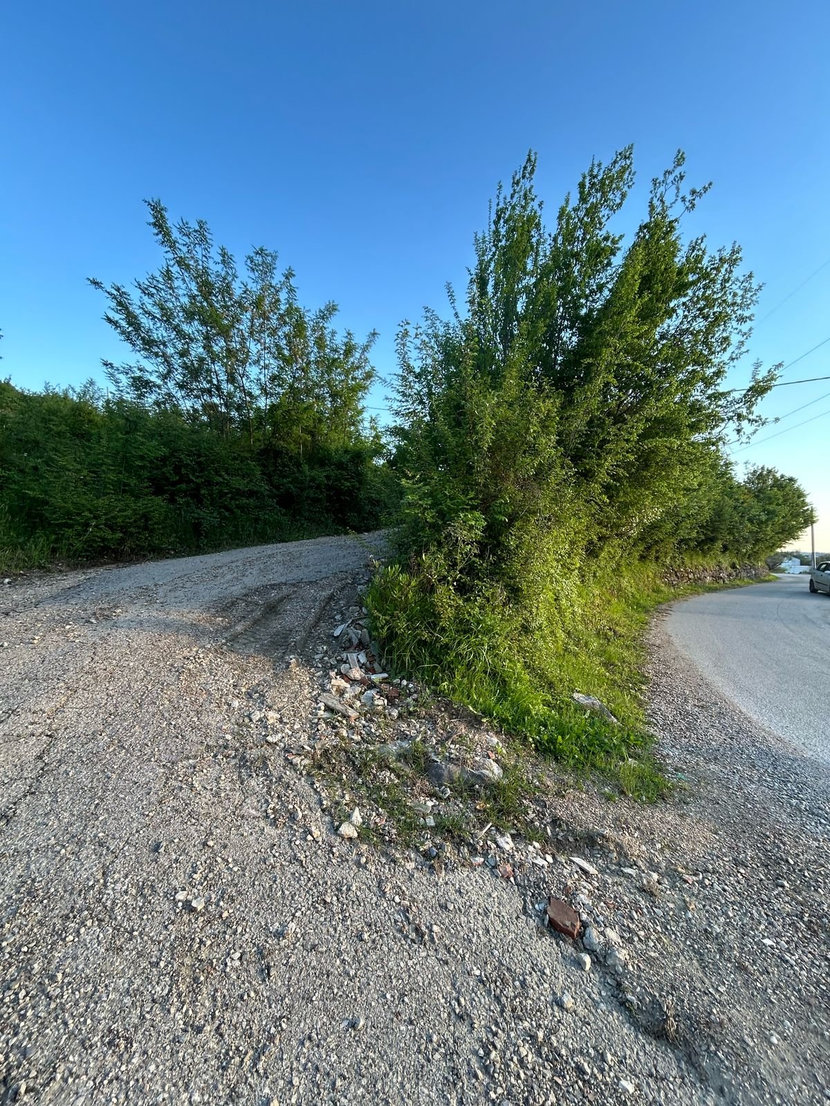 WhatsApp Image 2025-08-23 at 09.28.44 (2)