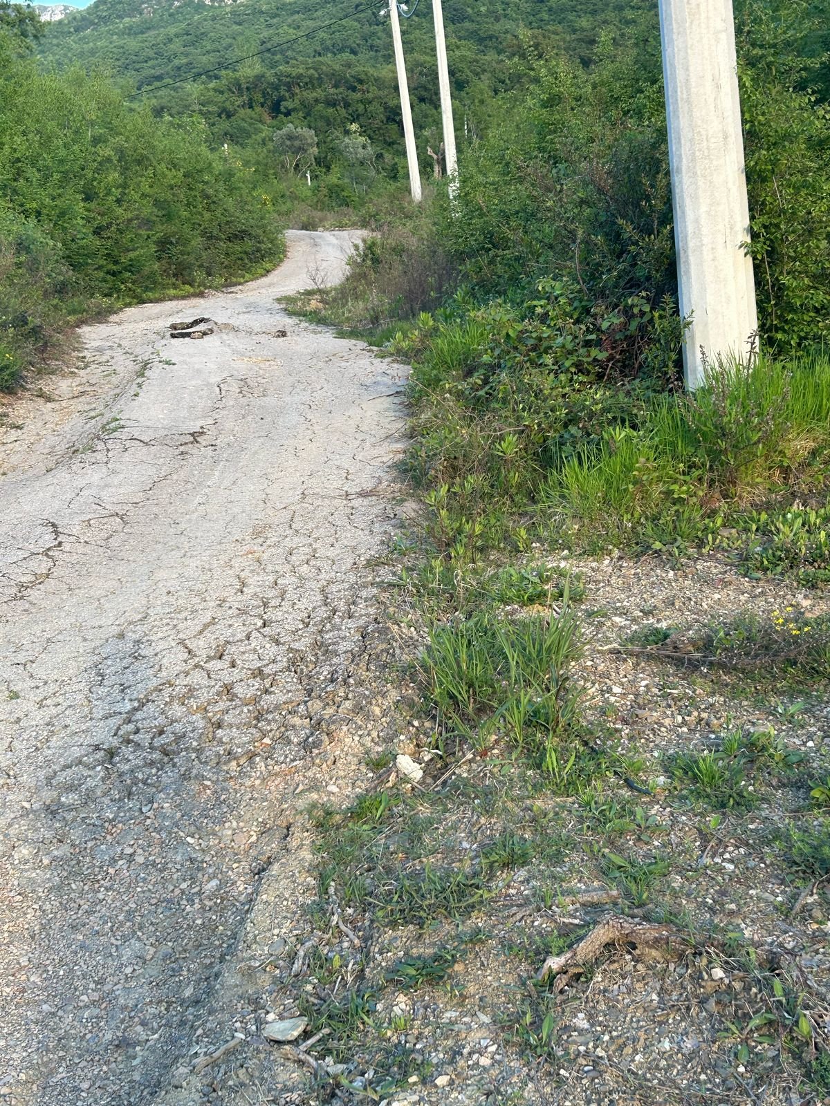 WhatsApp Image 2025-08-23 at 09.28.44