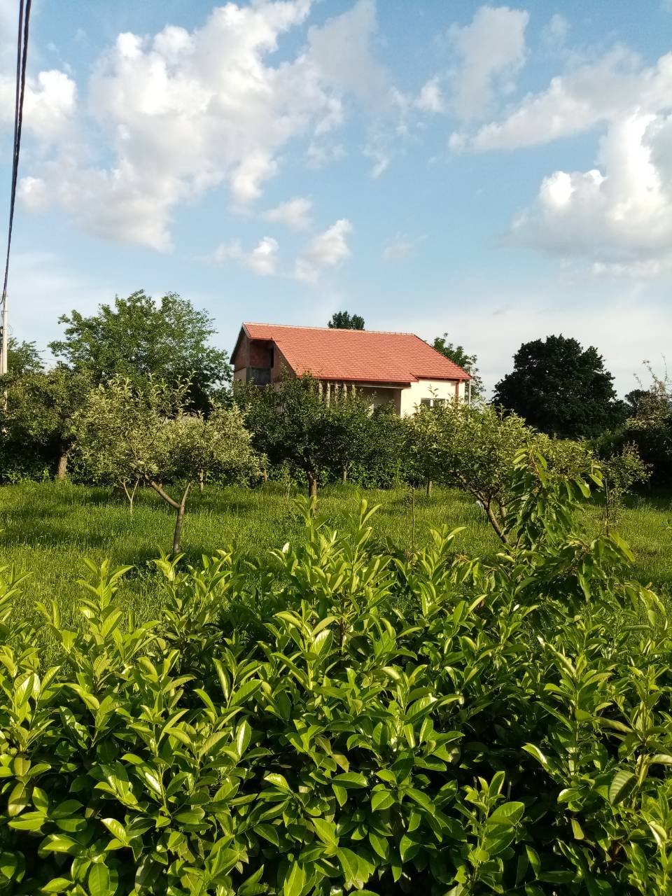 viber_image_2025-09-08_08-36-23-445