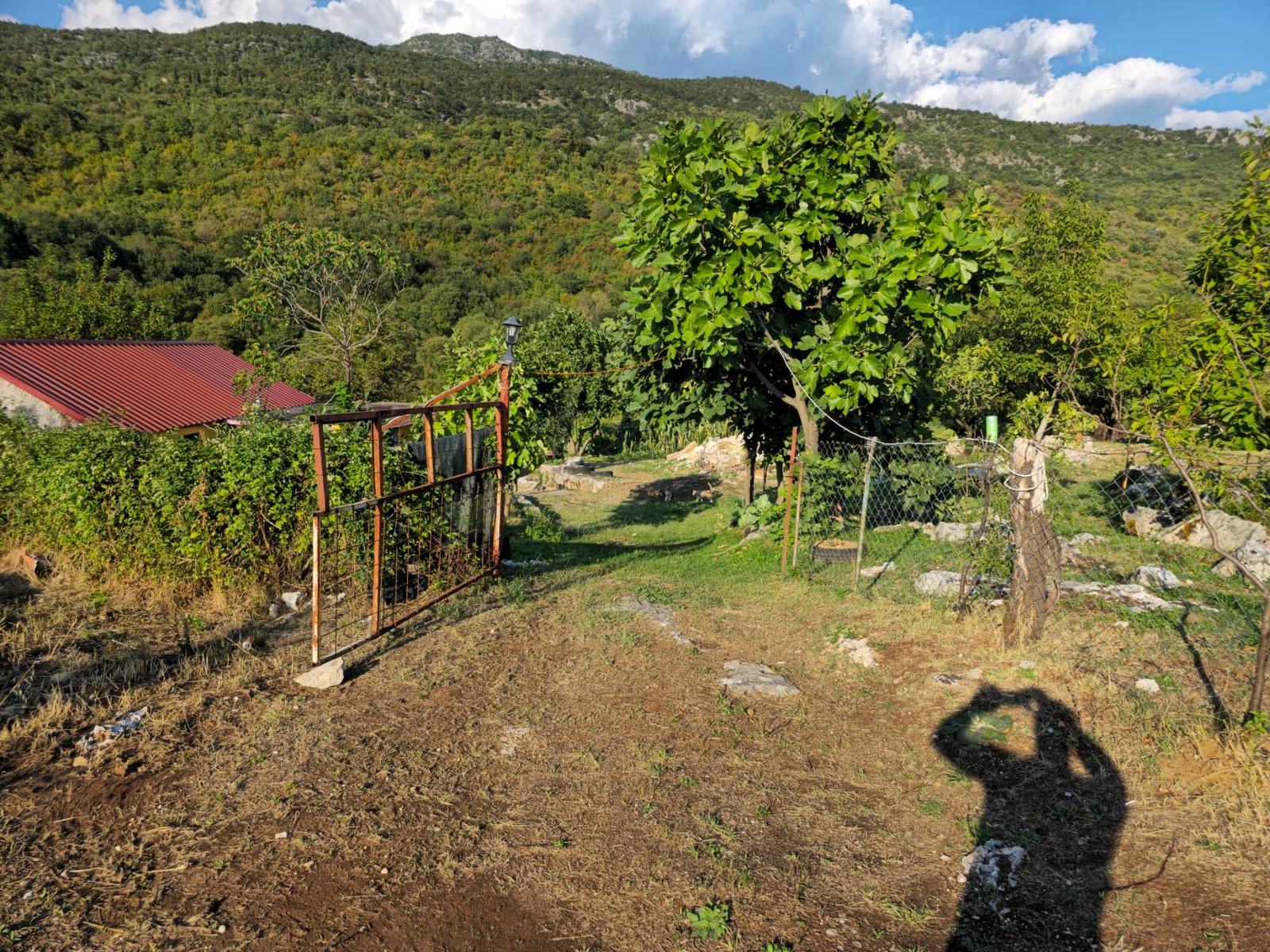 viber_image_2025-09-08_08-45-05-831