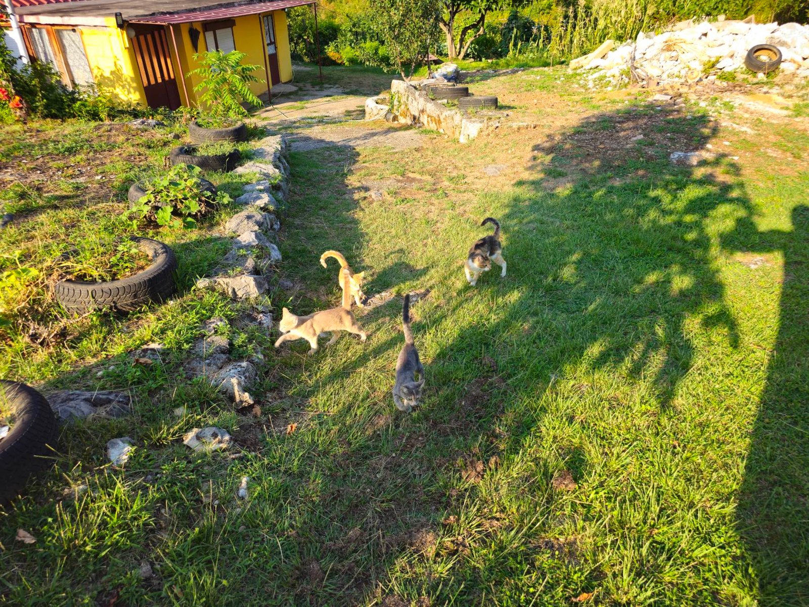 viber_image_2025-09-08_08-45-07-010