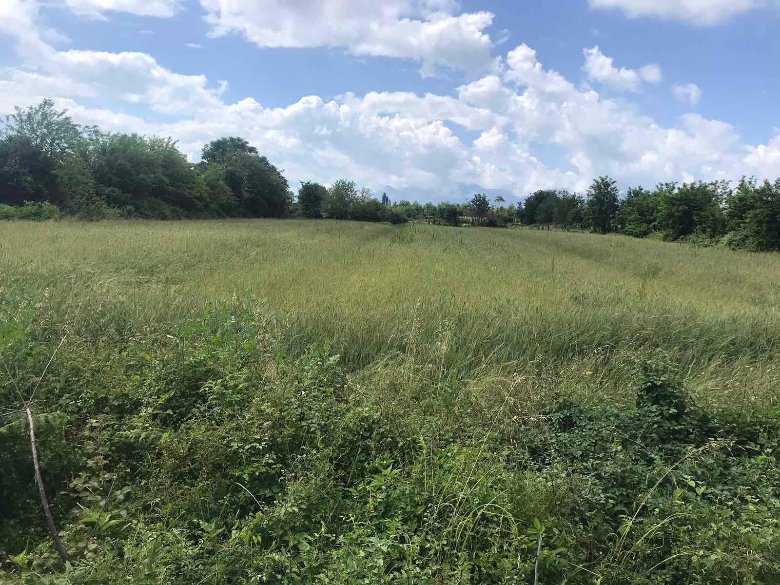 viber_image_2025-09-08_10-45-43-219