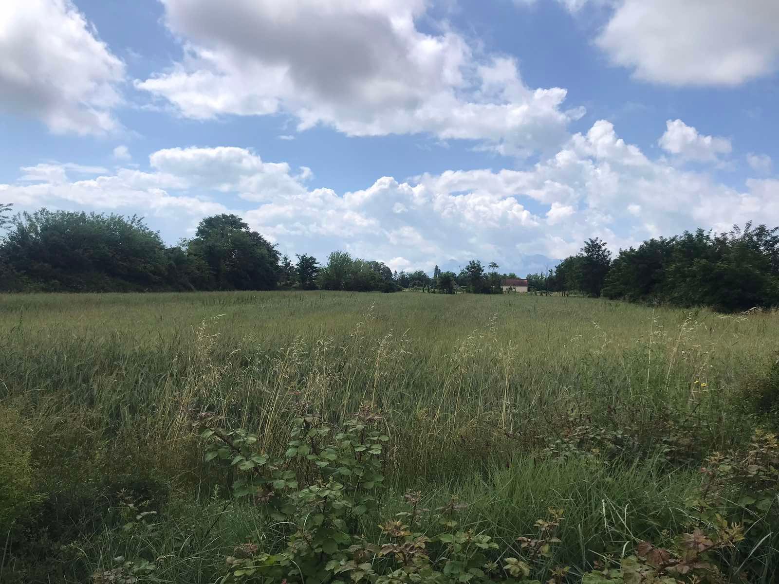 viber_image_2025-09-08_10-45-43-518