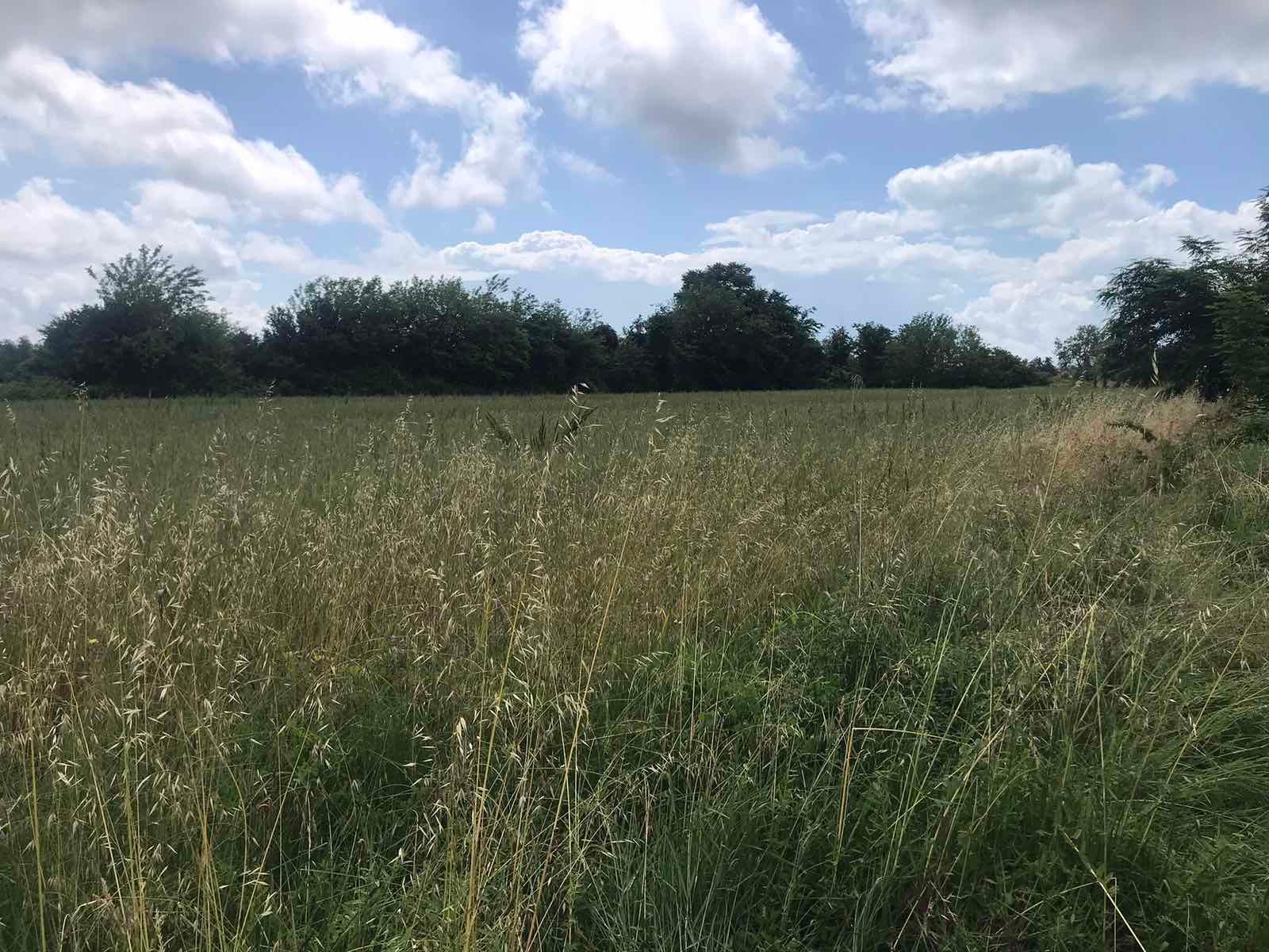 viber_image_2025-09-08_10-45-43-844