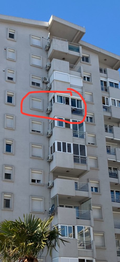 viber_image_2025-09-10_02-29-15-047