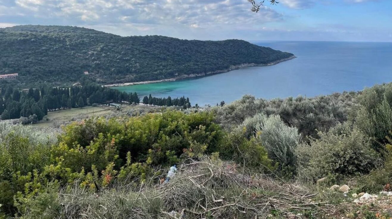 viber_image_2025-09-11_17-07-19-272