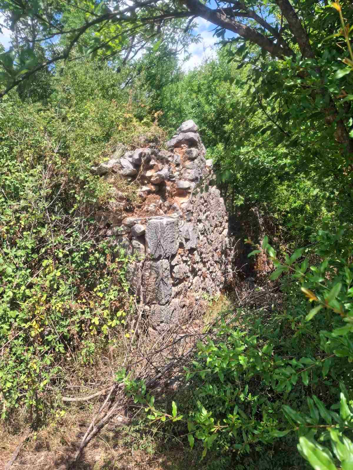 viber_image_2025-09-13_12-51-12-178