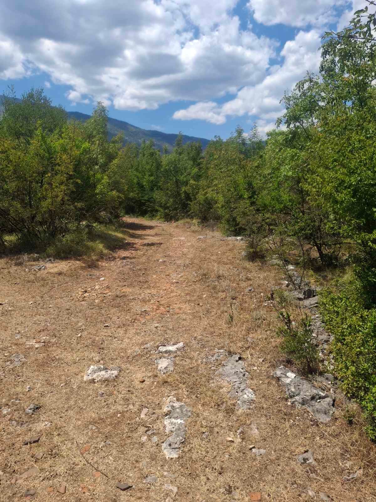 viber_image_2025-09-13_12-51-12-812