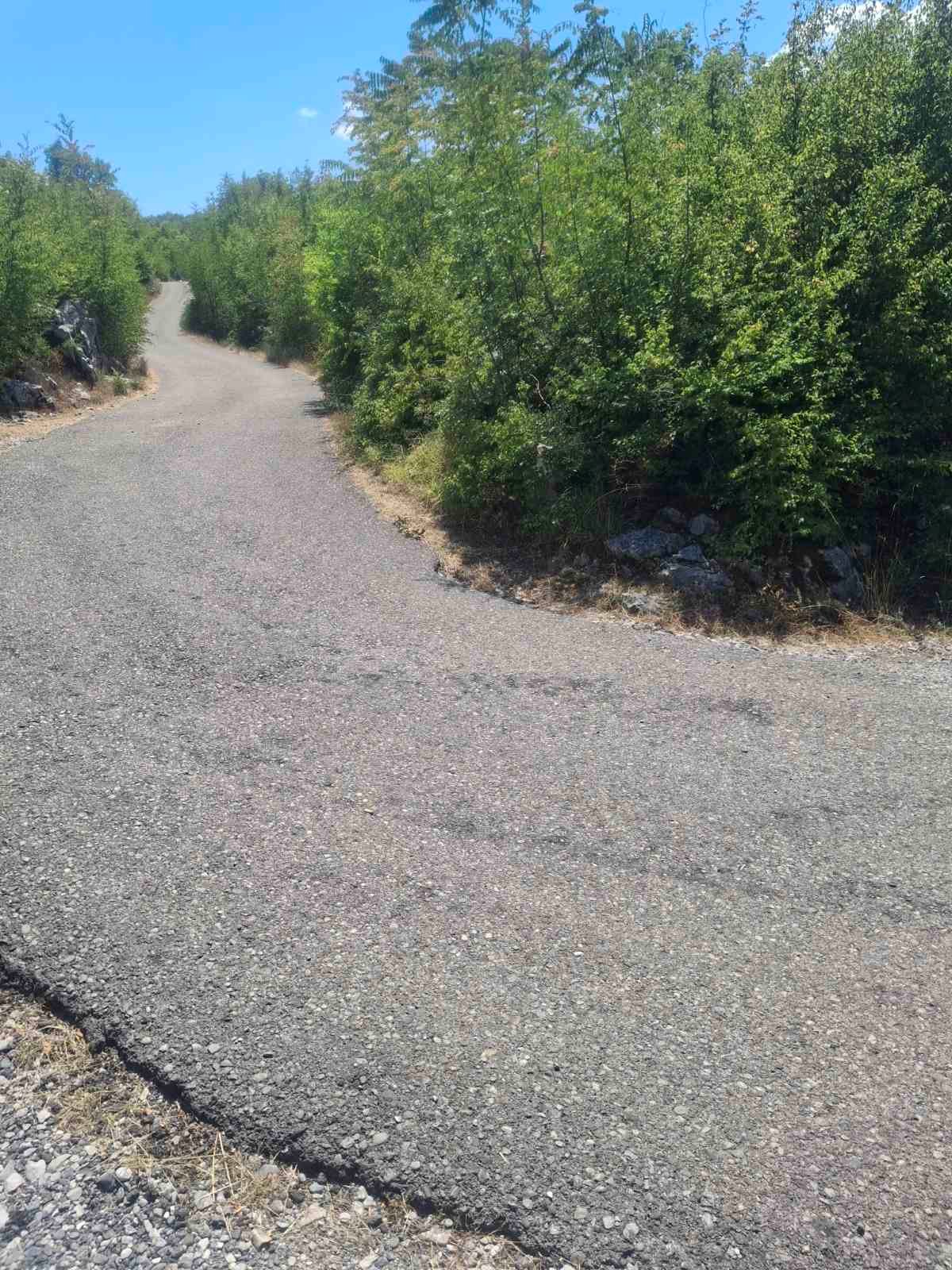 viber_image_2025-09-13_12-51-13-242