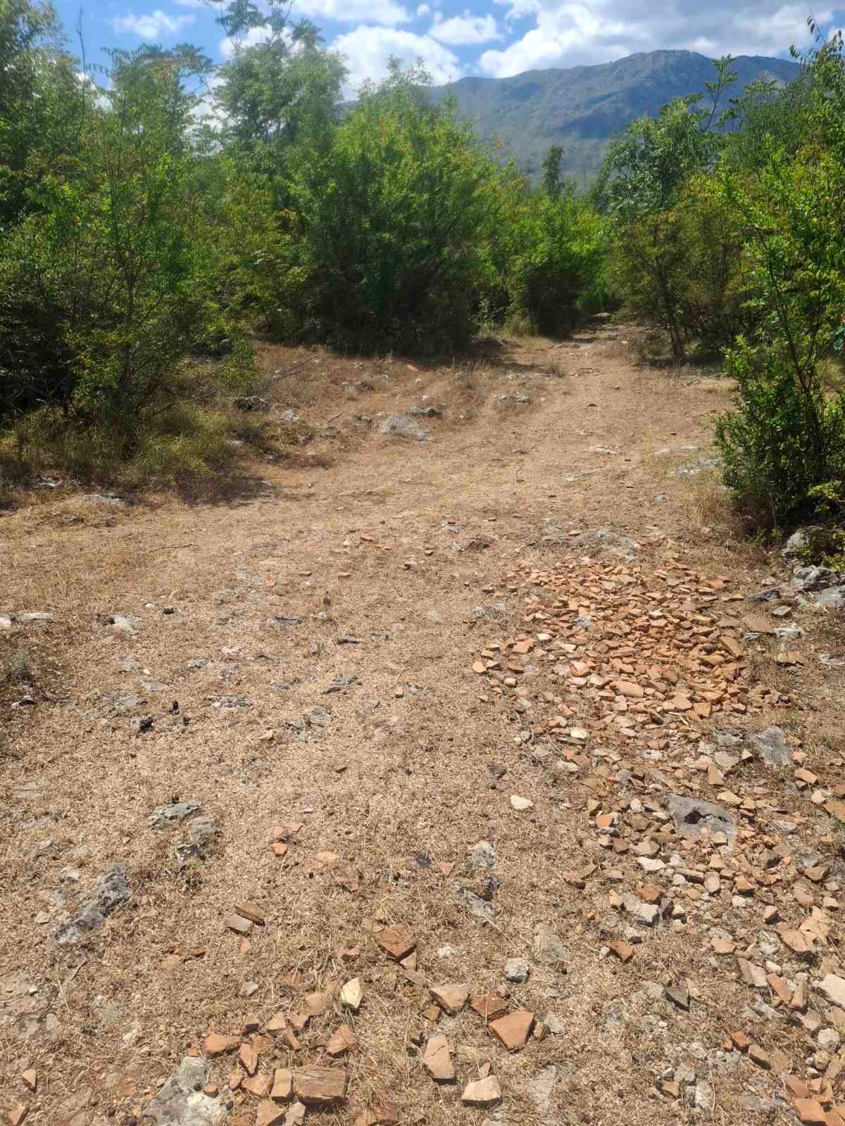 viber_image_2025-09-13_12-51-13-648