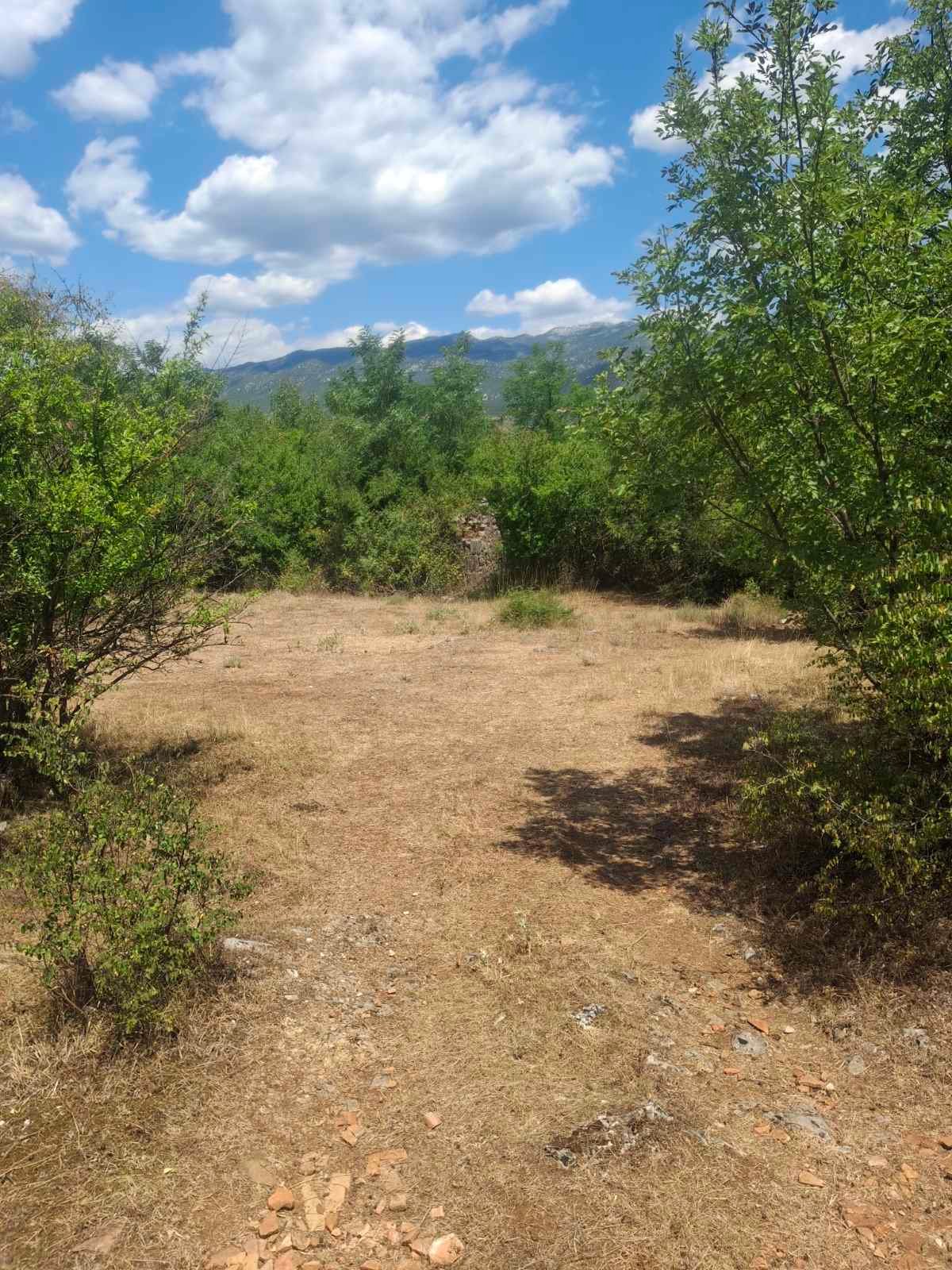 viber_image_2025-09-13_12-51-14-023