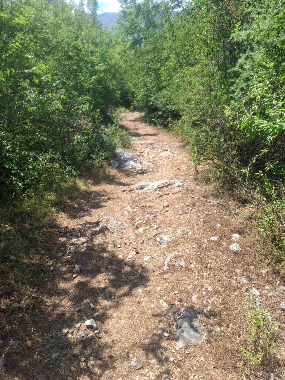 viber_image_2025-09-13_12-51-14-326