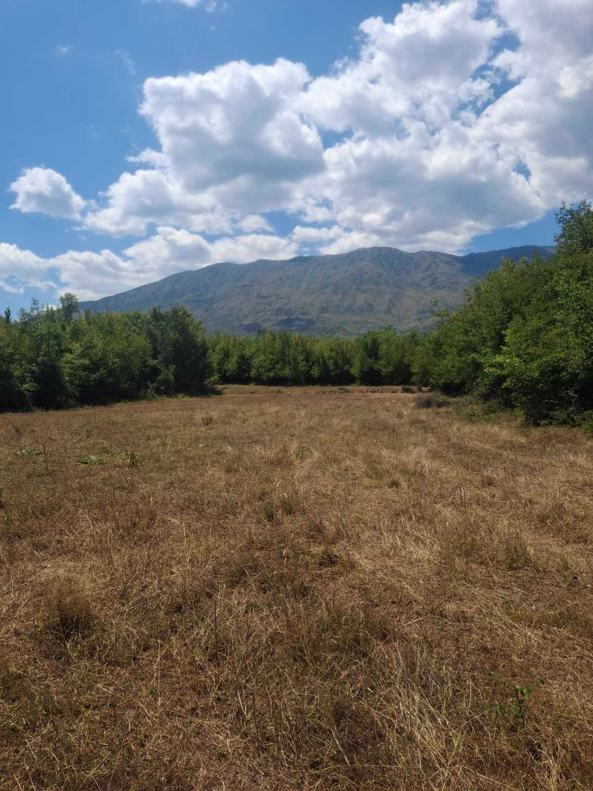 viber_image_2025-09-13_12-51-14-616