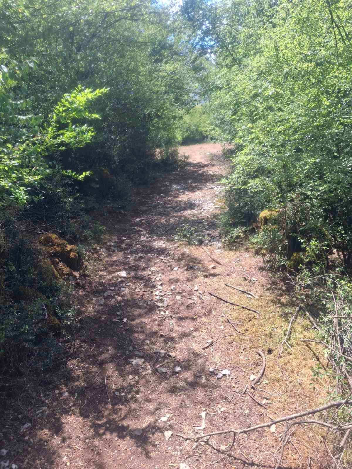 viber_image_2025-09-13_12-51-14-912