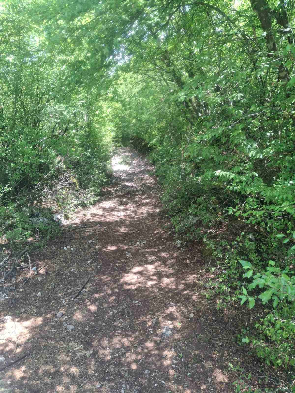 viber_image_2025-09-13_12-51-15-308