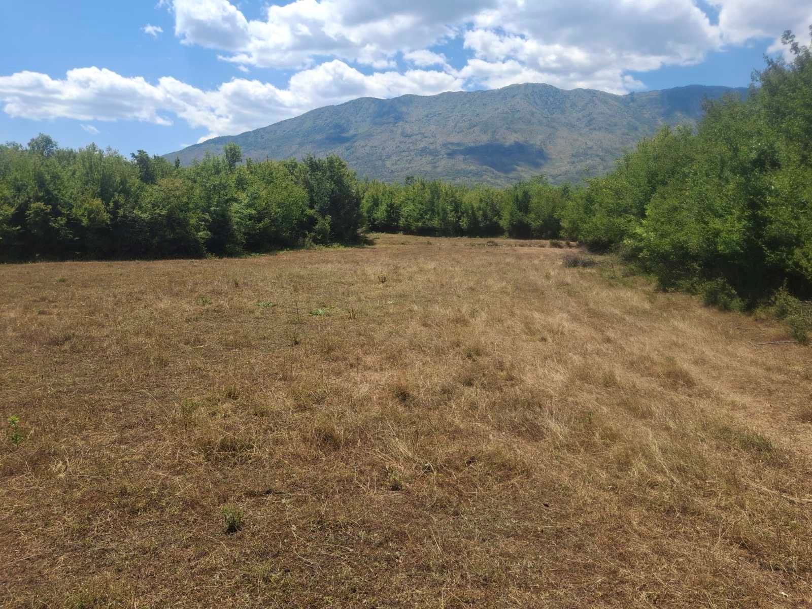 viber_image_2025-09-13_12-51-15-571