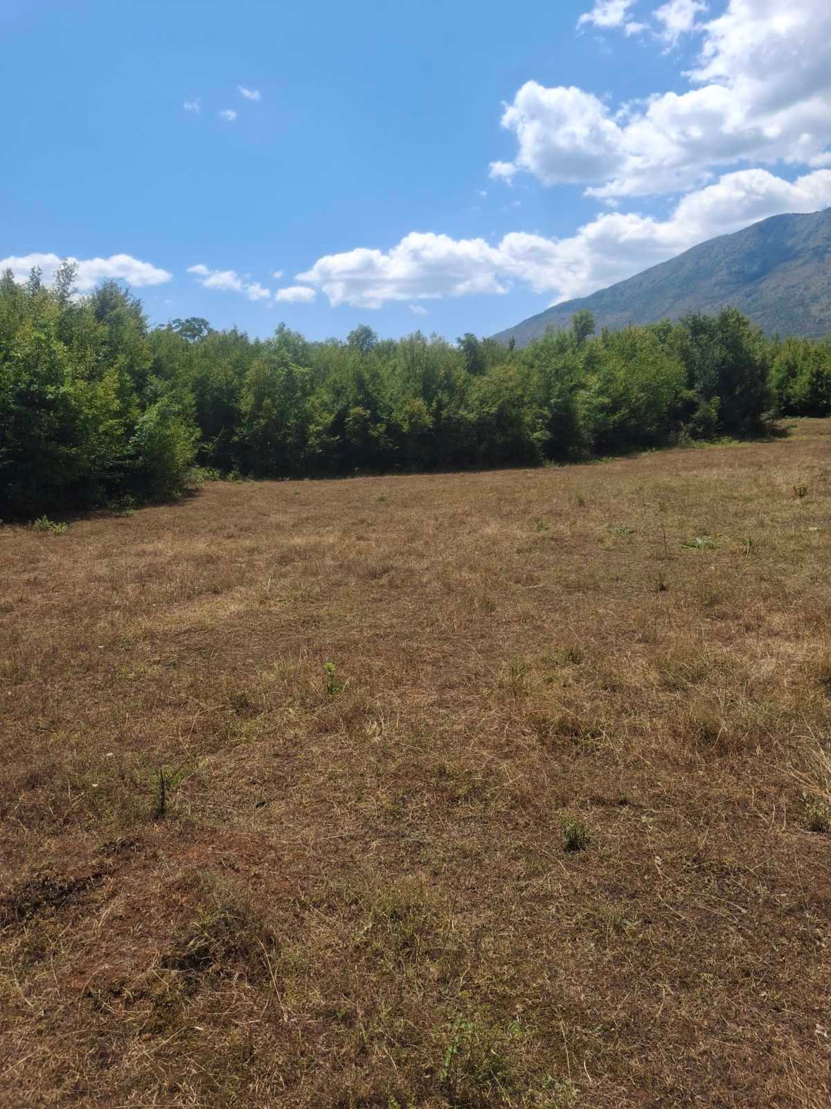 viber_image_2025-09-13_12-51-15-865