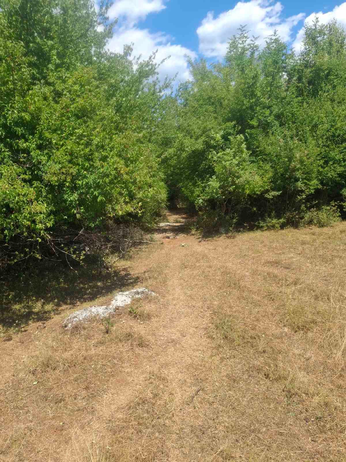 viber_image_2025-09-13_12-51-16-142