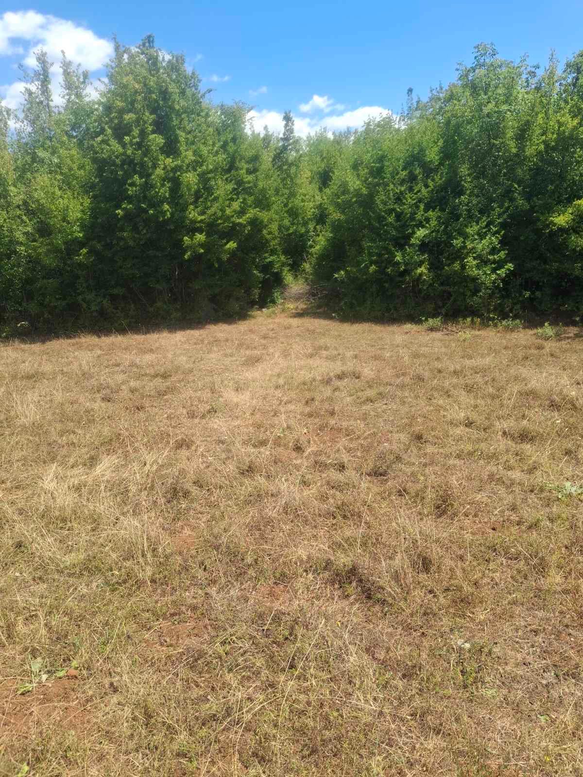 viber_image_2025-09-13_12-51-16-433