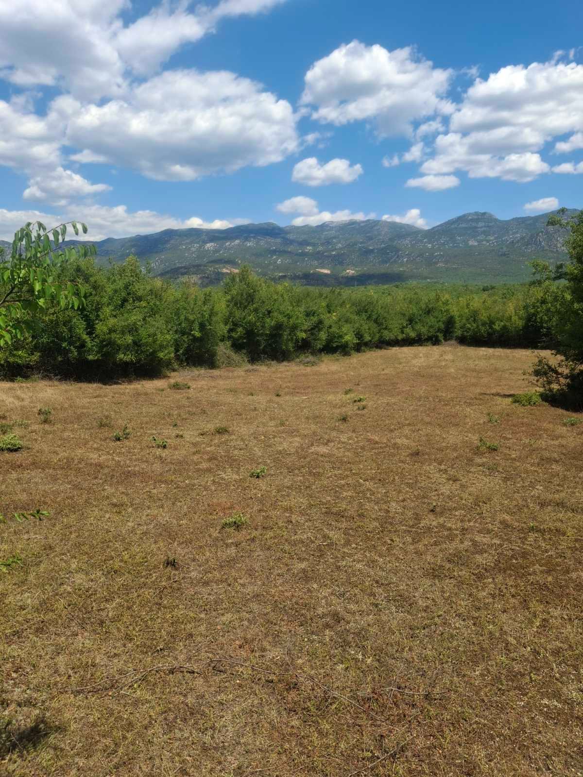 viber_image_2025-09-13_12-51-16-728