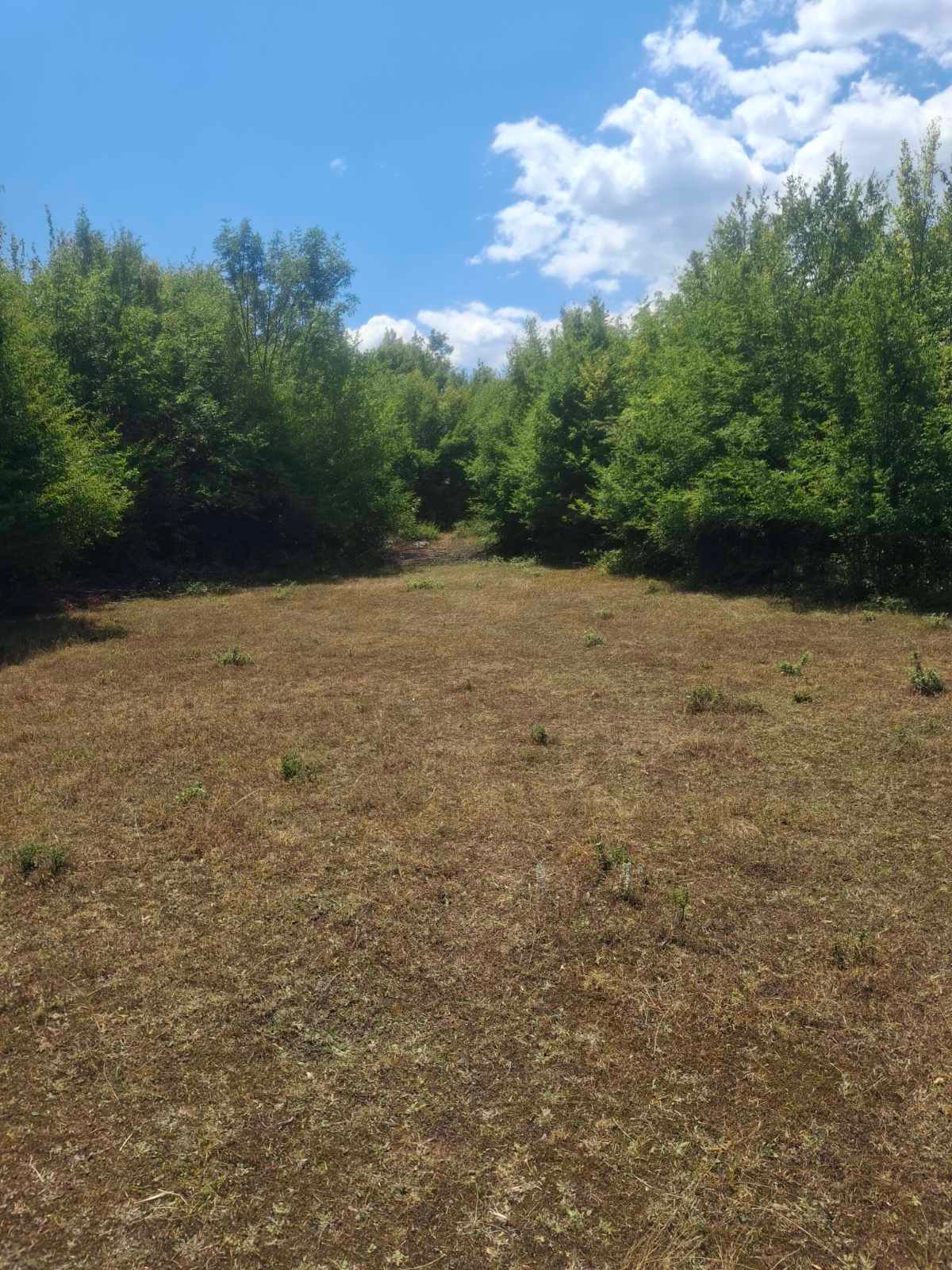 viber_image_2025-09-13_12-51-17-016