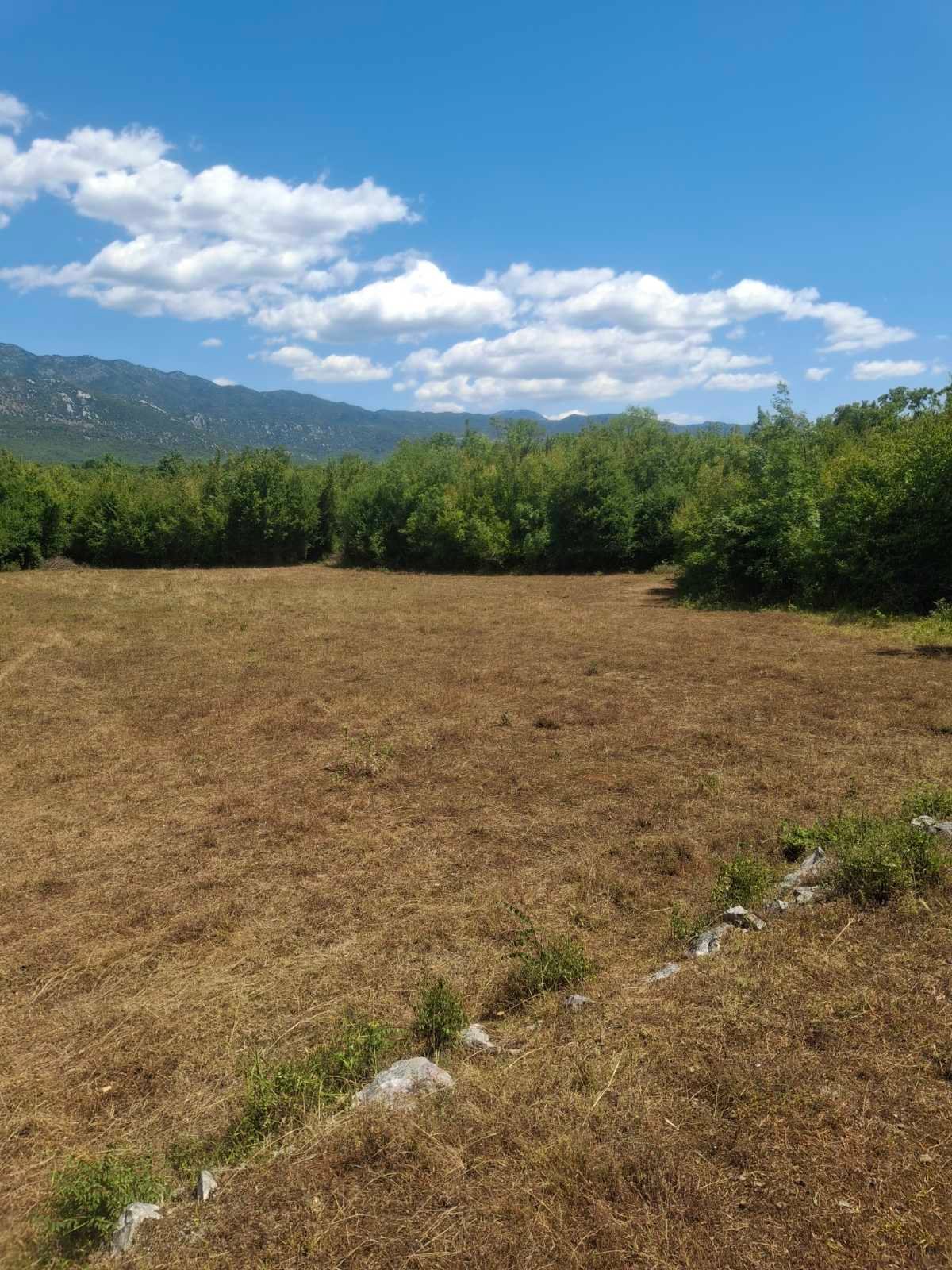 viber_image_2025-09-13_12-51-17-311