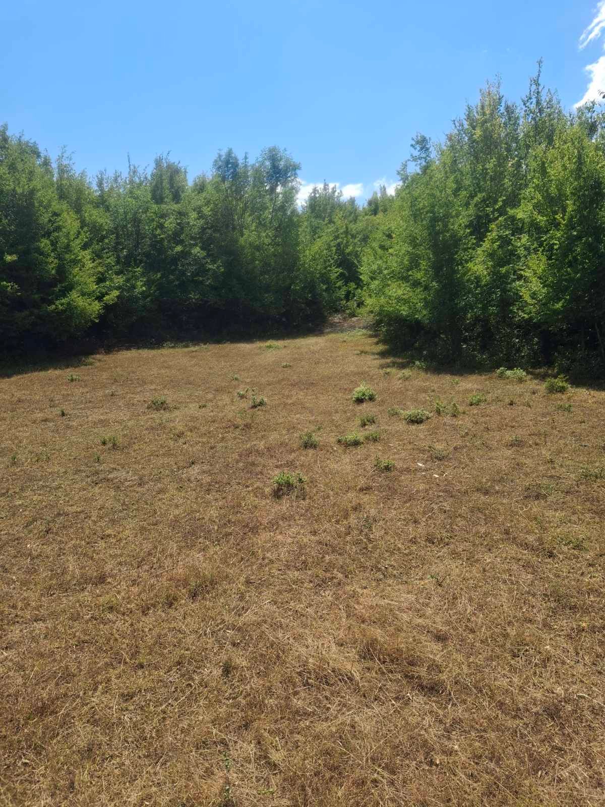 viber_image_2025-09-13_12-51-17-594