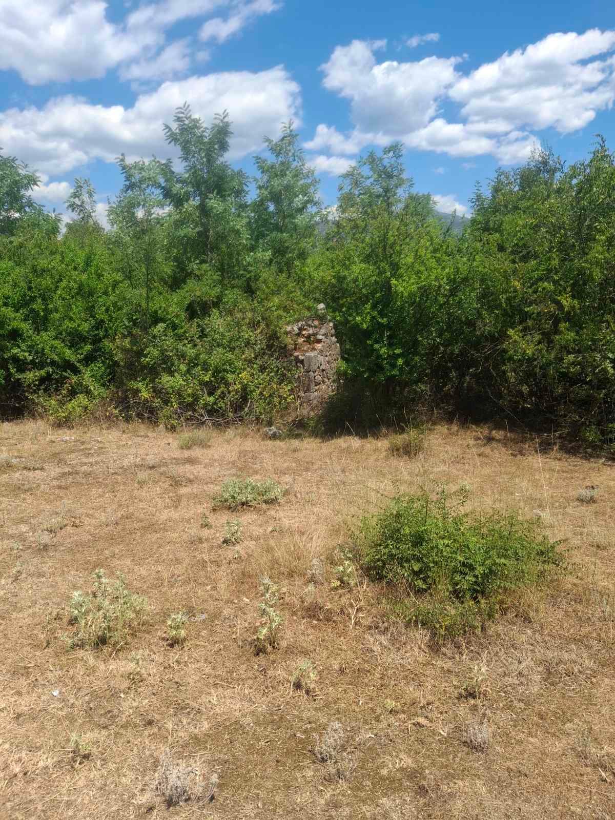 viber_image_2025-09-13_12-51-17-974