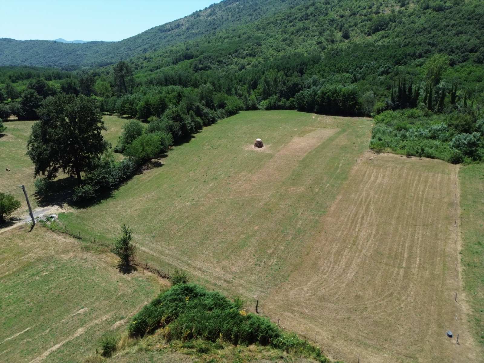 viber_image_2025-09-13_12-55-16-612