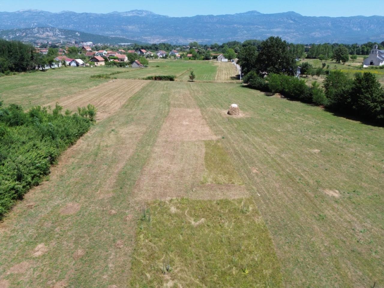 viber_image_2025-09-13_12-55-16-873