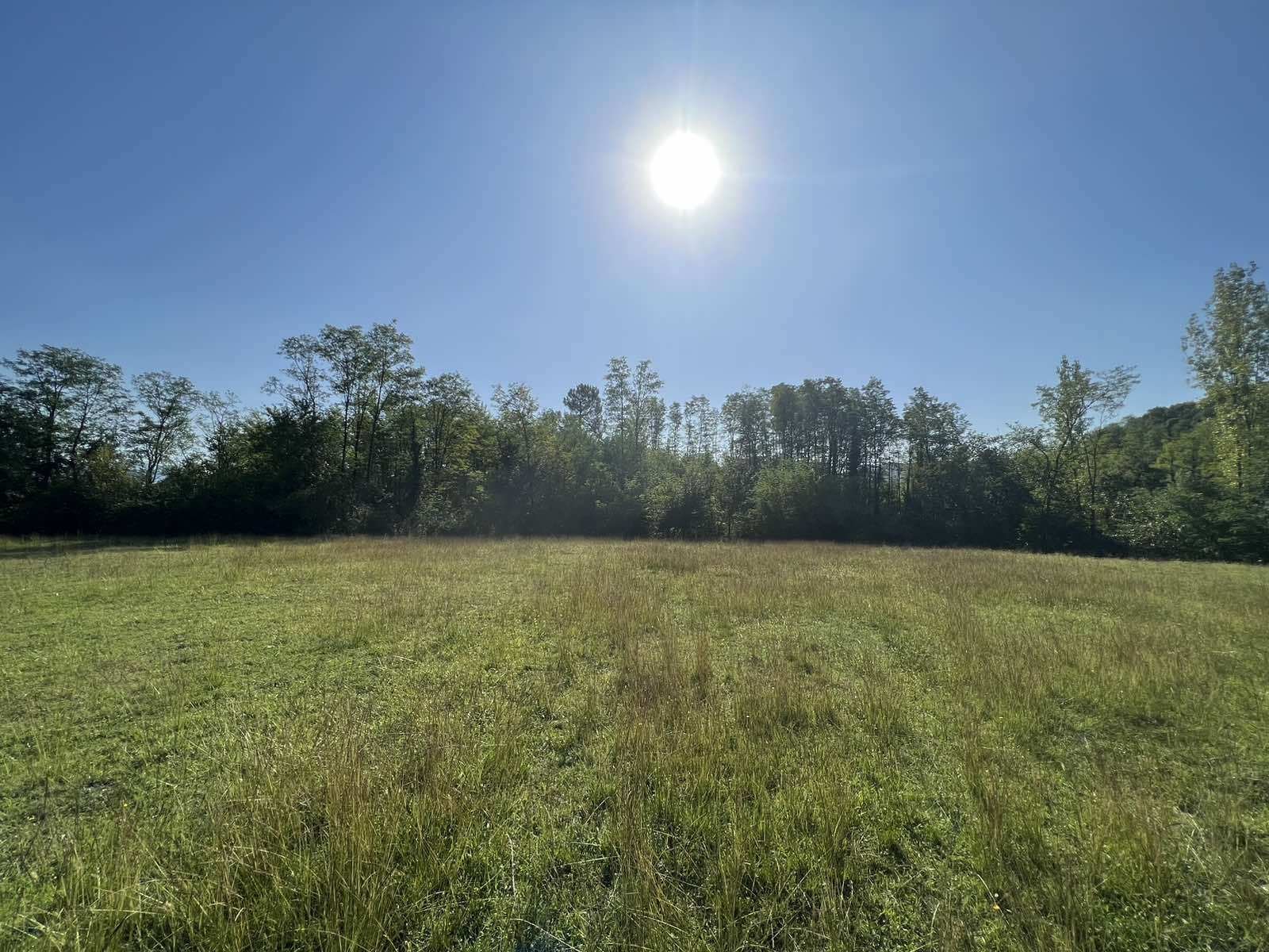 viber_image_2025-09-13_12-55-17-380