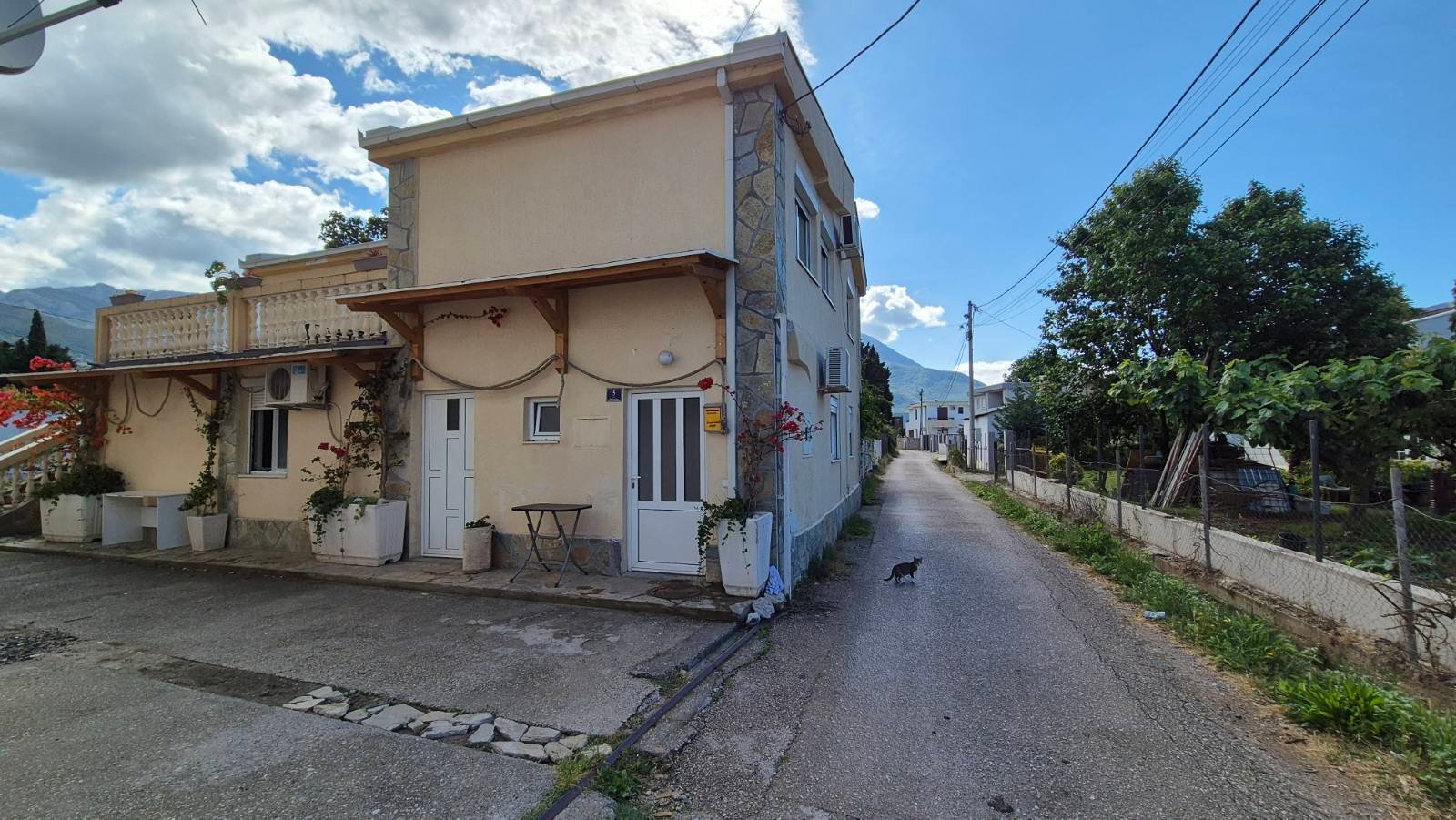 viber_image_2025-09-16_21-32-11-904