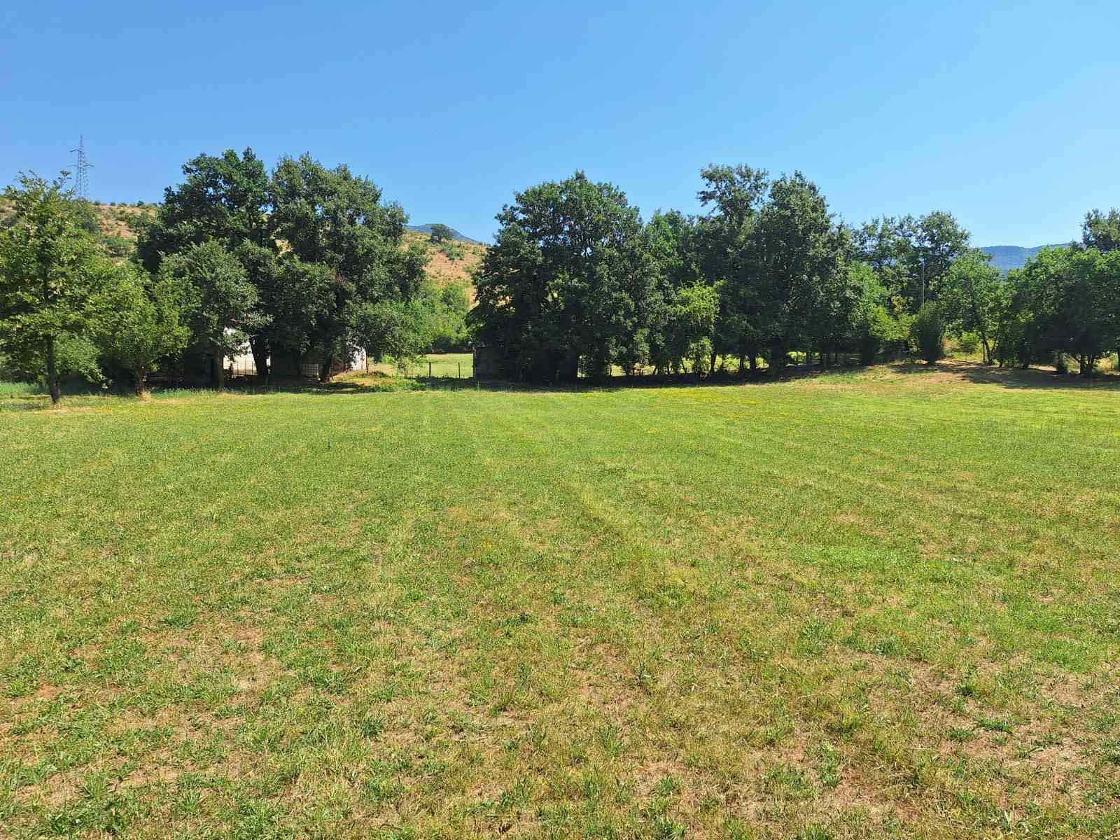 viber_image_2025-09-16_22-12-06-123