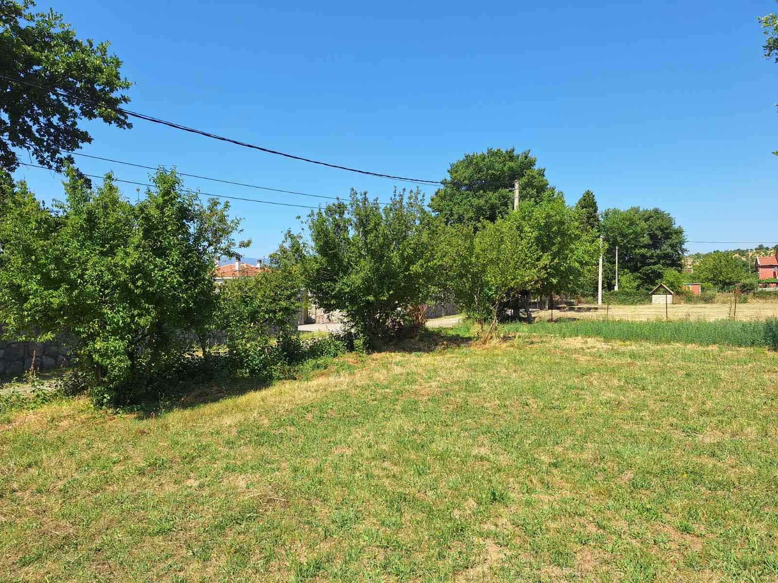 viber_image_2025-09-16_22-12-06-680