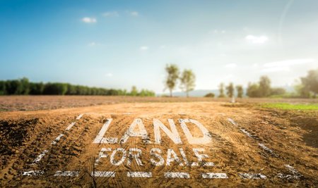 199699034-land-plot-management-real-estate-concept-with-a-vacant-land-on-a-green-field-available-for