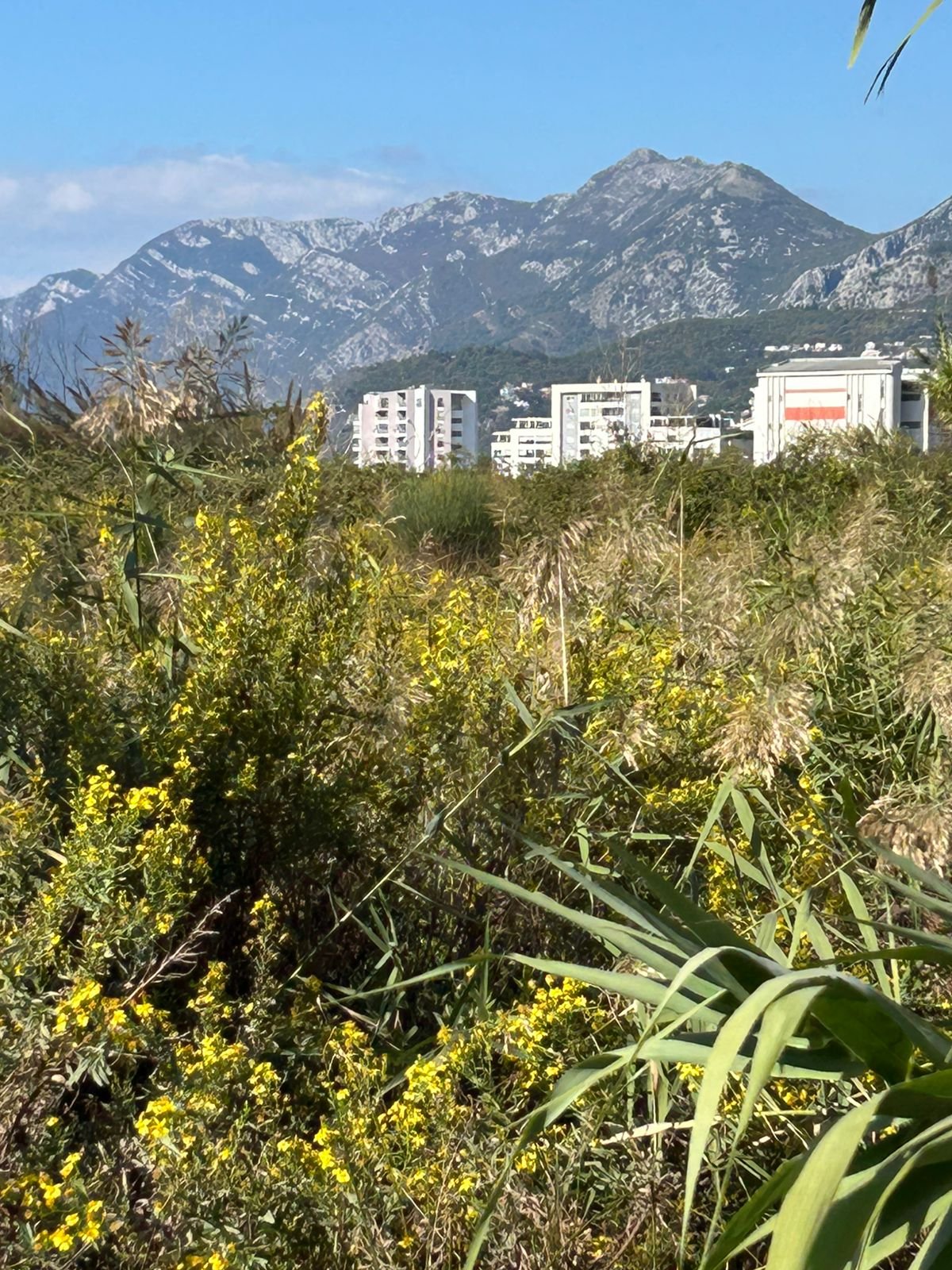 WhatsApp Image 2025-10-14 at 13.49.04 (1)