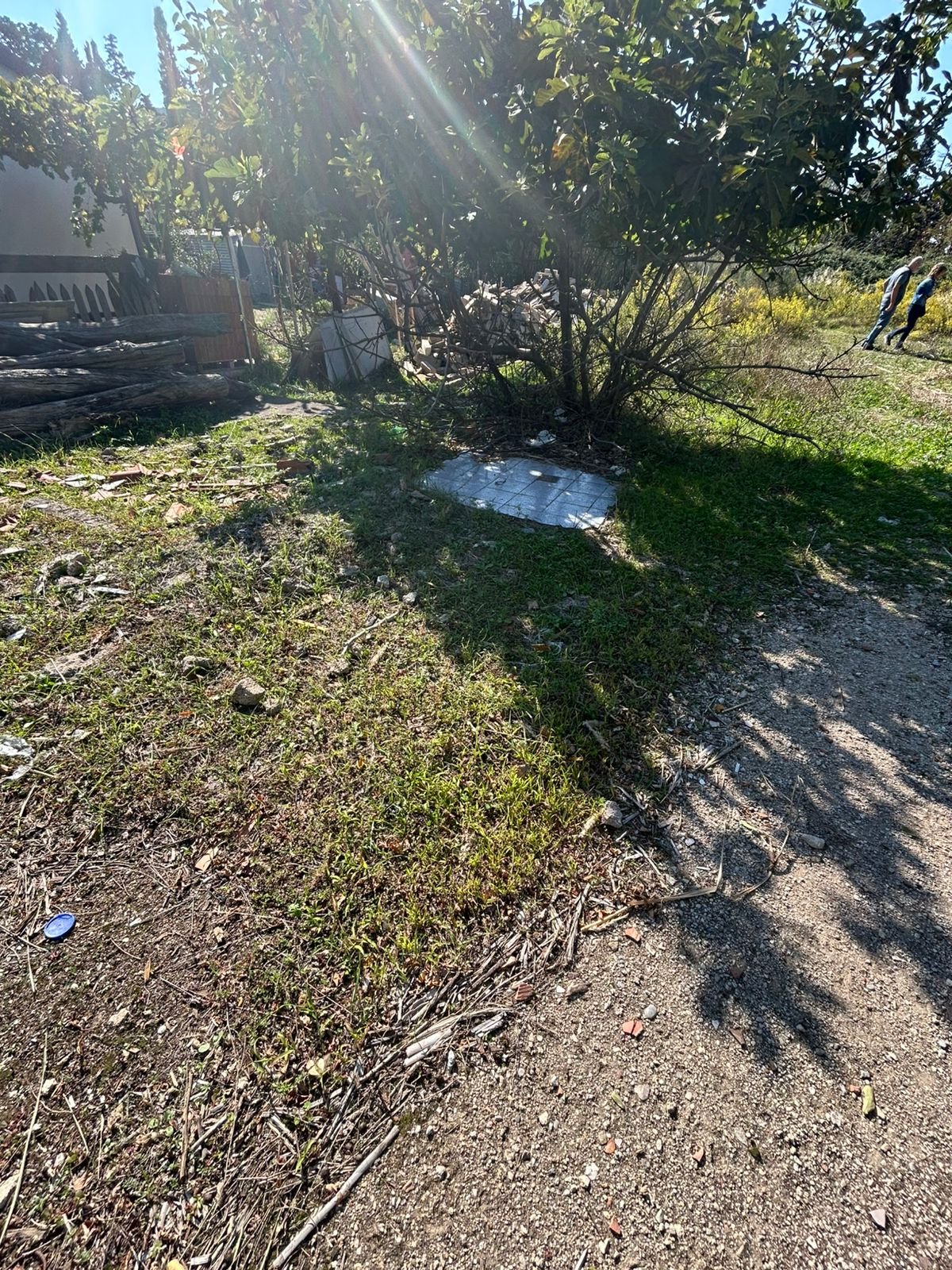 WhatsApp Image 2025-10-14 at 13.49.04