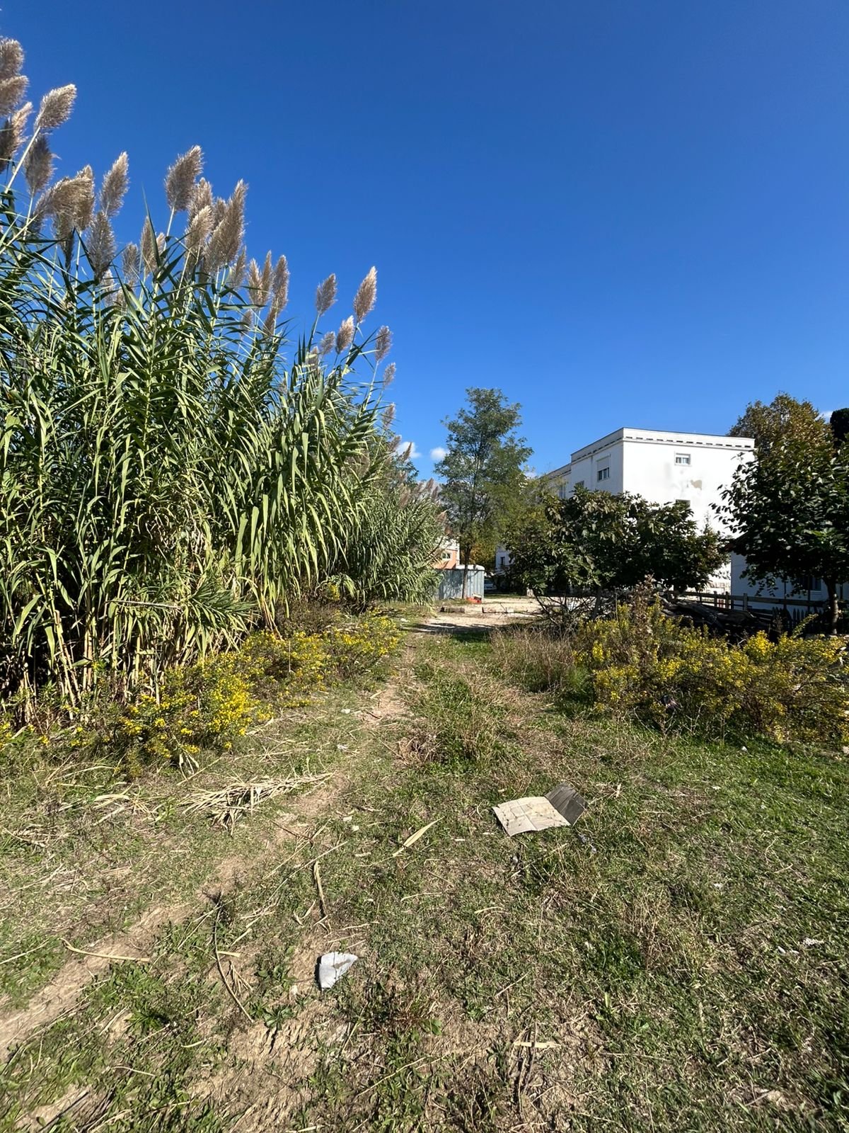 WhatsApp Image 2025-10-14 at 13.49.05 (1)