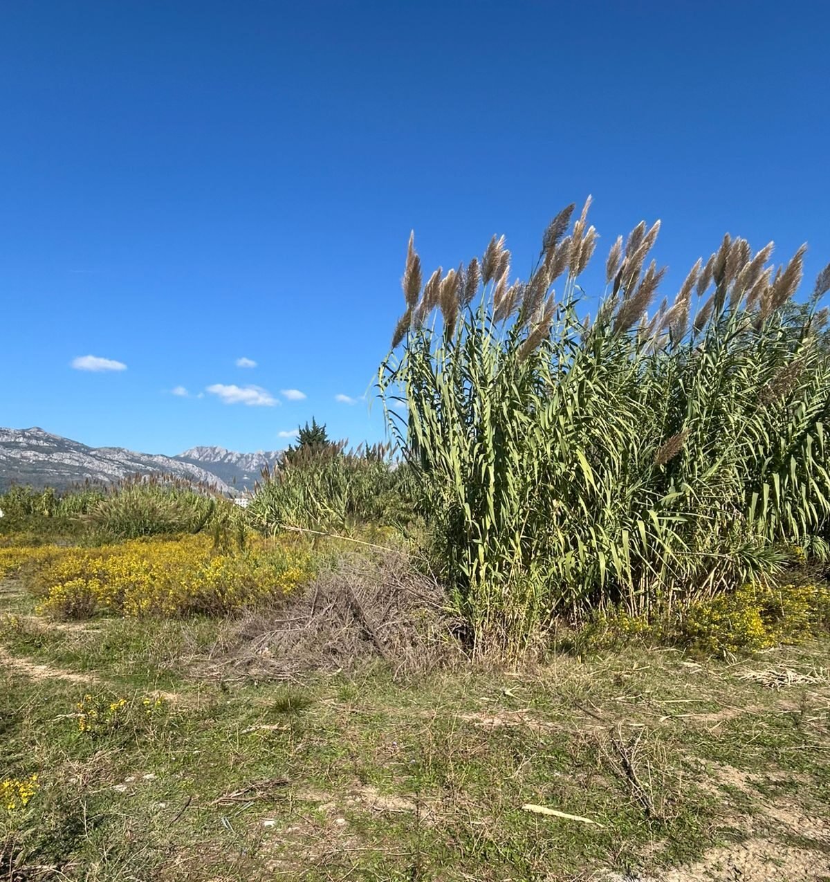 WhatsApp Image 2025-10-14 at 13.49.05 (2)