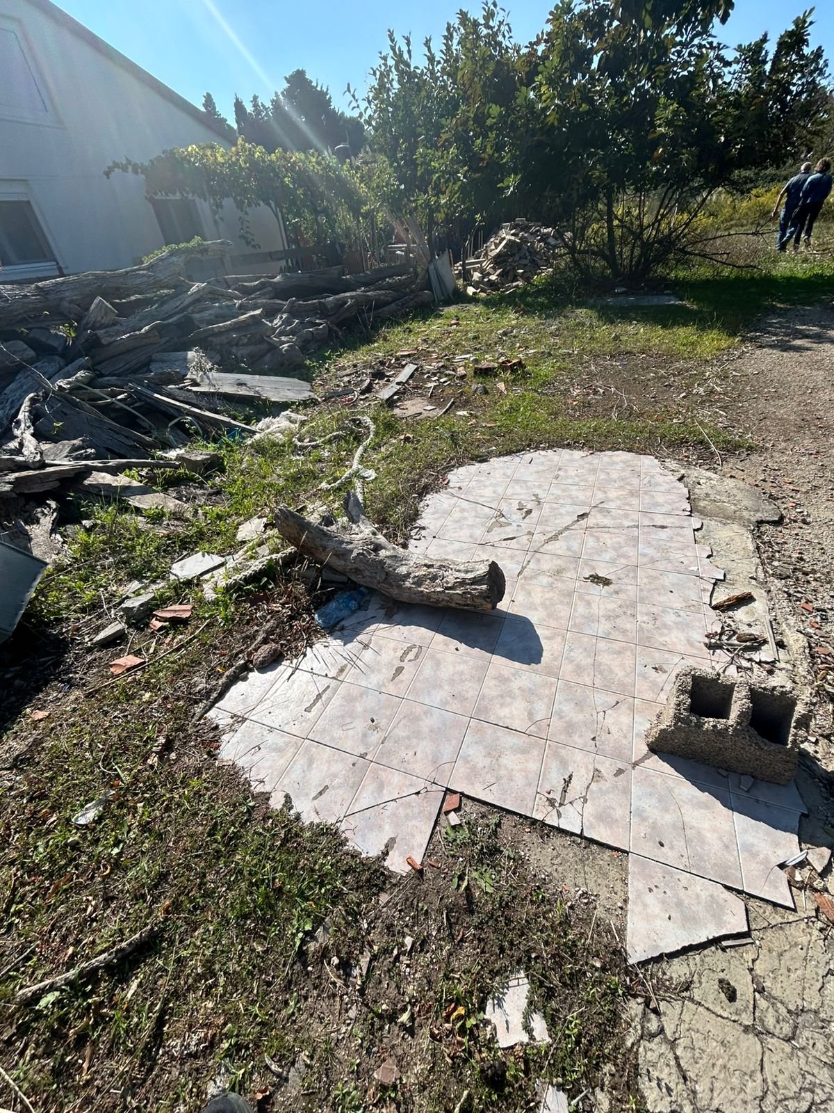 WhatsApp Image 2025-10-14 at 13.49.05