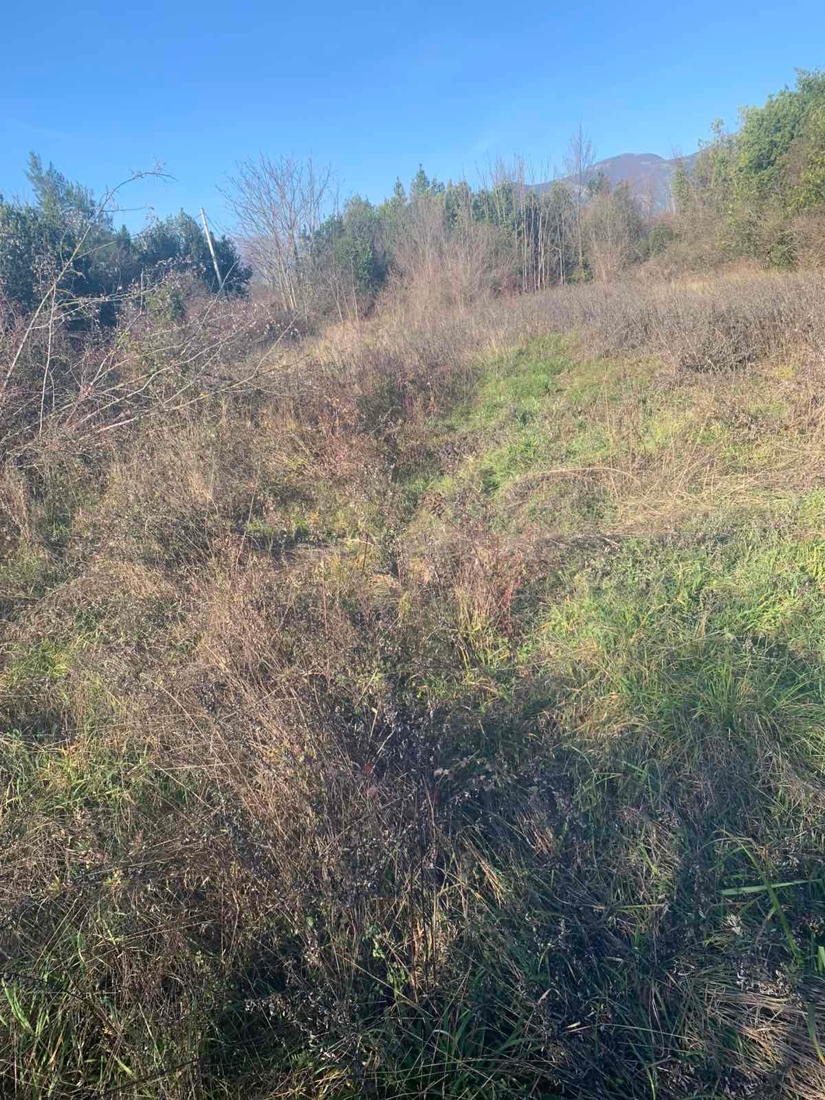 viber_image_2025-10-13_22-21-22-088