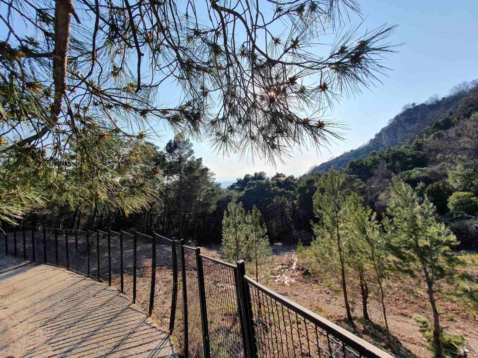 viber_image_2025-10-14_08-12-10-597