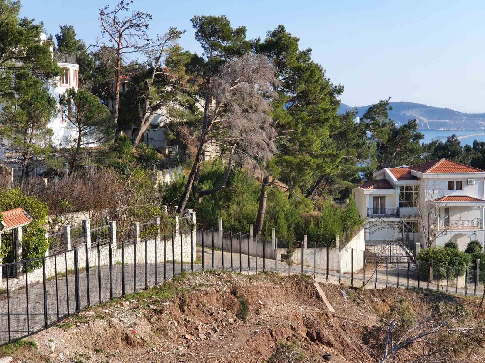 viber_image_2025-10-14_08-12-11-131